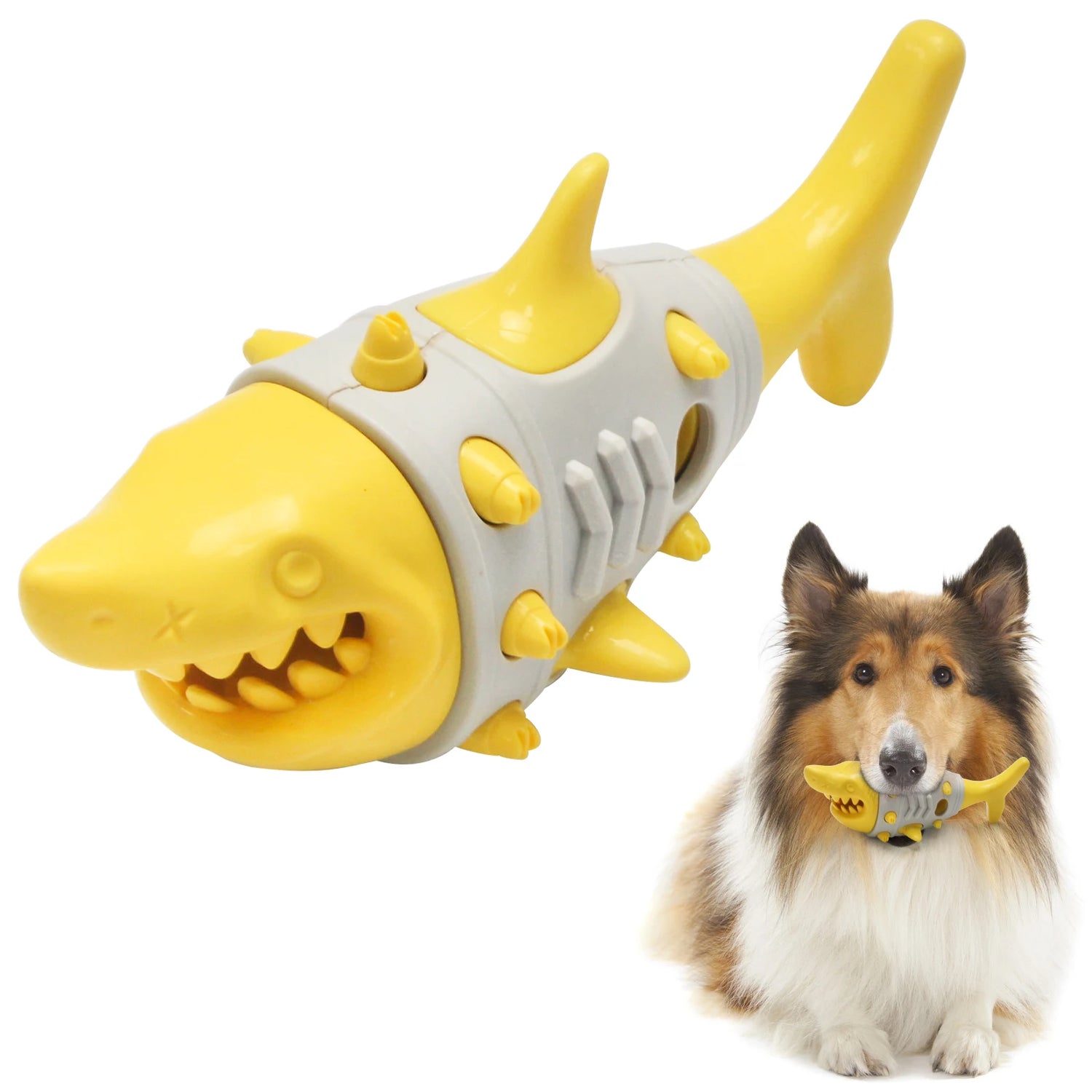 Yellow shark-shaped dog chew toy with spikes, collie holding toy in mouth on white background