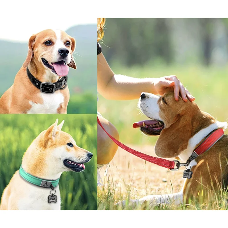 S75659ba9d8e94ce783e1ec2c88e4e3517 - bestdoggylife.shop