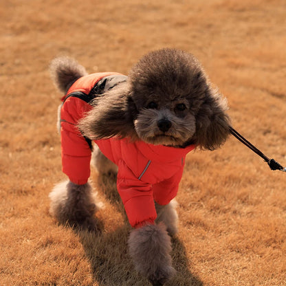 S757be69084d846798ad5c381901cd657K_0e18e382-fa77-4db4-8ff0-19a839aa86ed - bestdoggylife.shop