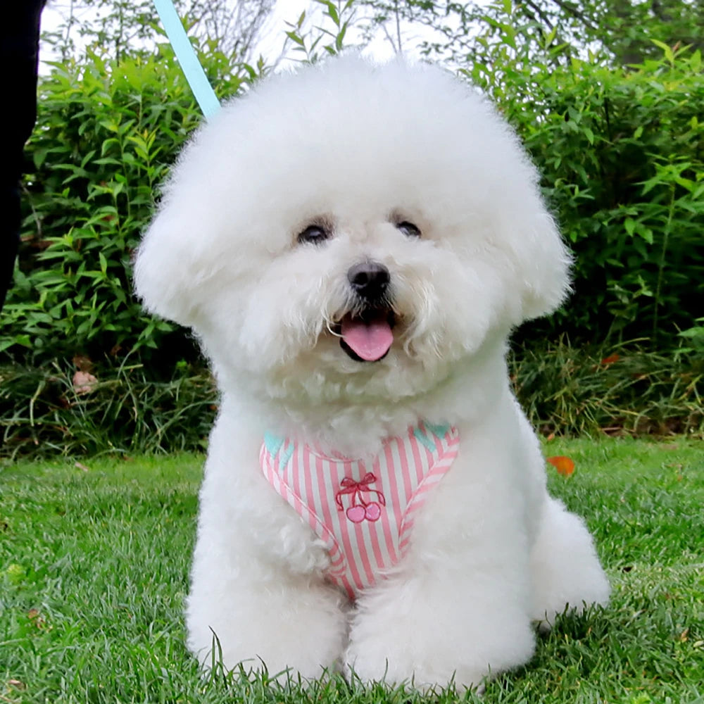 small dog harness leash set cute pink striped vest harness with plush doll for stylish walking and everyday use