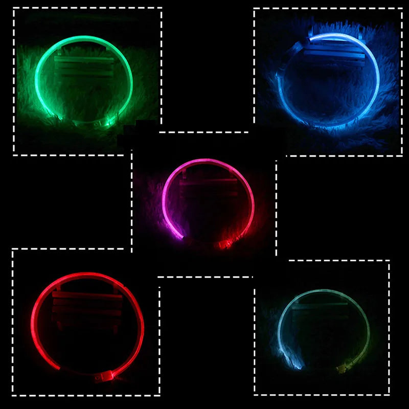Led Usb Dog Collar Pet Dog Night Luminous Charge Collar Pet Accessorie displaying various glowing colors in a dark setting.