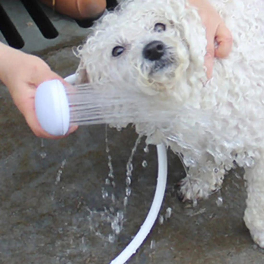 pet bathing shower for dogs and cats, handheld grooming sprayer for easy pet cleaning