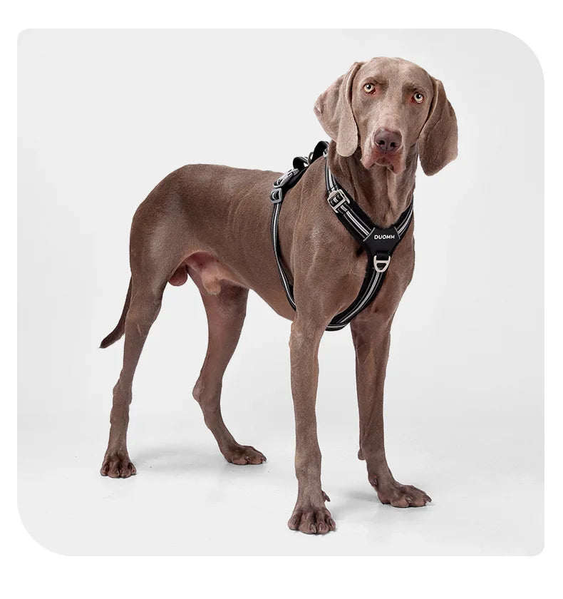 S770fb671a30c472e88fd3dcca93979b9C - bestdoggylife.shop