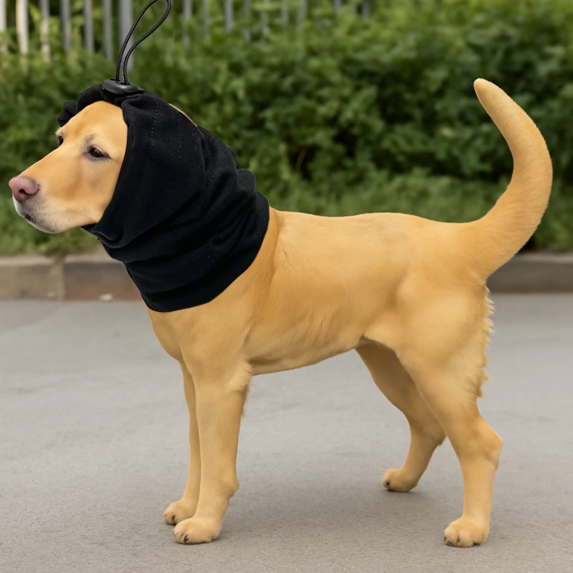 S7821380552ef433ba604143467032c69Y_0b2006cf-12e5-4844-85e5-5d343490c495 - bestdoggylife.shop