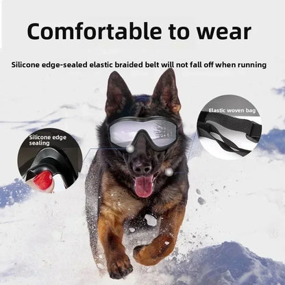 S782f81b6f3d74f1ca06aafd338362a63d - bestdoggylife.shop