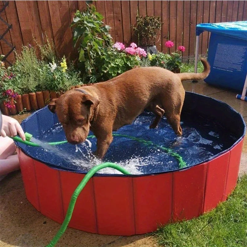 S78d08e2b278a4089b6dbe4da9c7e7138r - bestdoggylife.shop