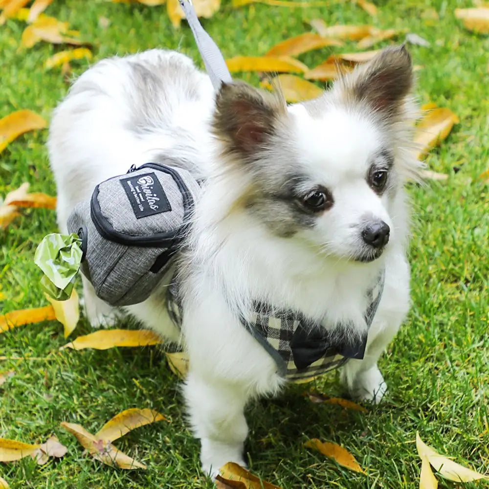 S7a224c34dd9b4c93bc86b9f8d8e4eb7dR_9f218f19-697e-42a0-9dcc-e48b7d349233 - bestdoggylife.shop