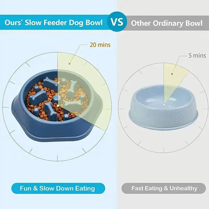slow feeder dog bowl comparison showing fun slow eating for dogs versus ordinary fast eating bowl