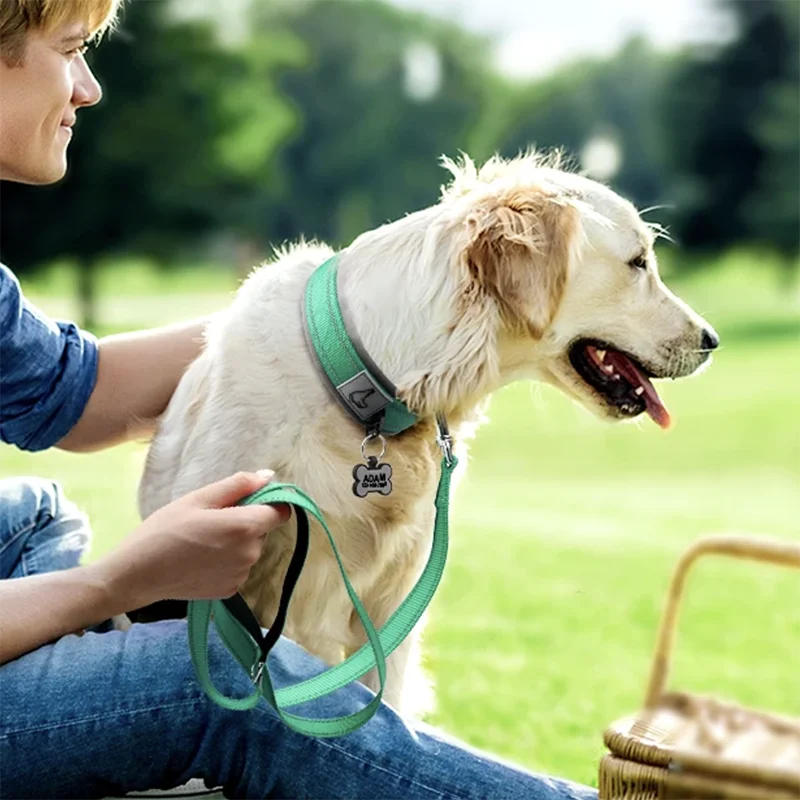 S7b564a3a9cdb4708b7bb029e507f36e7v - bestdoggylife.shop