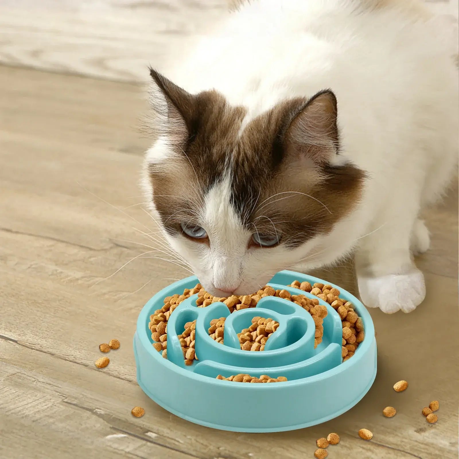 Cat using a slow feeder dog bowl with maze design to eat slowly and reduce gulping, blue non-slip pet feeding dish