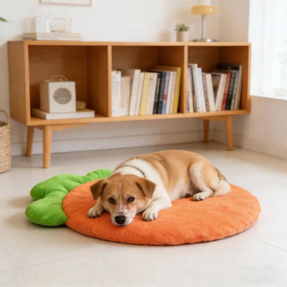 washable cat bed mat, carrot-shaped soft pet cushion for small and medium pets, warm coral fleece sleeping pad