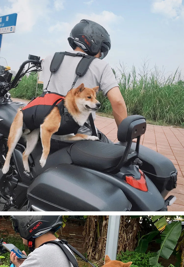 Dog backpack carrier for hiking and biking with breathable belly support, secure adjustable straps, for motorcycle and outdoor use