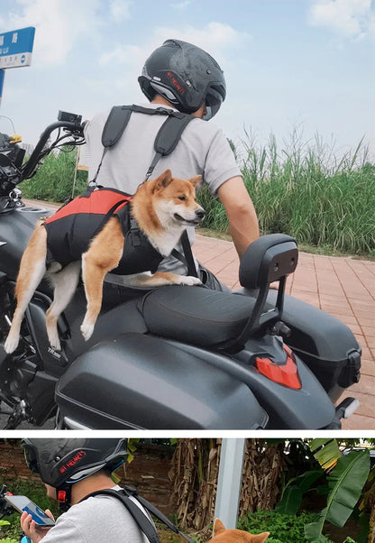 Dog backpack carrier for hiking and biking with breathable belly support, secure adjustable straps, for motorcycle and outdoor use