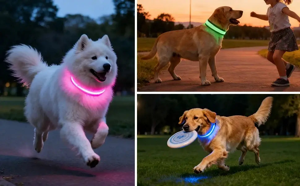 USB rechargeable LED dog collar for small and medium dogs, RGB 7 colors glowing nylon adjustable collar for night safety