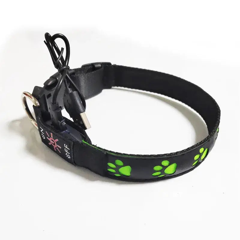 luminous dog collar charging LED pet collar with green paw prints for safe walking