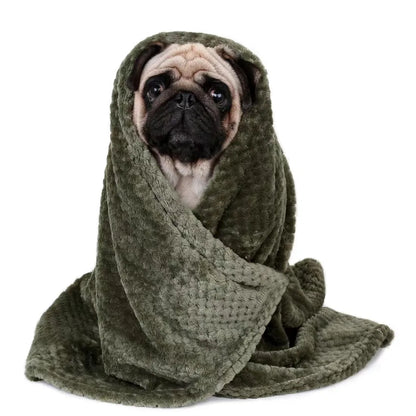 soft pet blanket for dogs and cats, warm hooded pet wrap, cozy green blanket for small pets