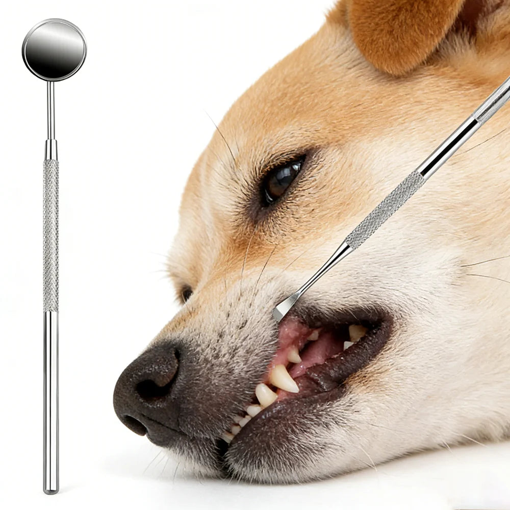 stainless steel pet tartar cleaning kit for dogs, reusable dental tools for safe daily oral care