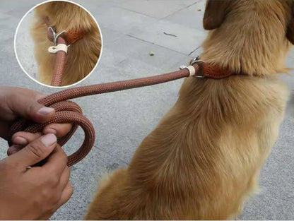 S7d16c41c1864490189af26111dc0db98T - bestdoggylife.shop