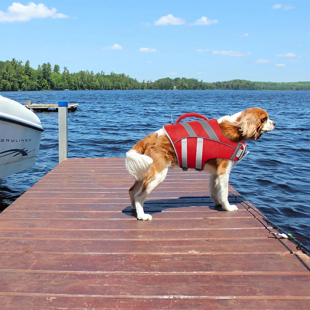 waterproof dog life jacket on a dog standing on a dock by the lake, red reflective safety vest for water adventures