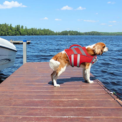waterproof dog life jacket on a dog standing on a dock by the lake, red reflective safety vest for water adventures