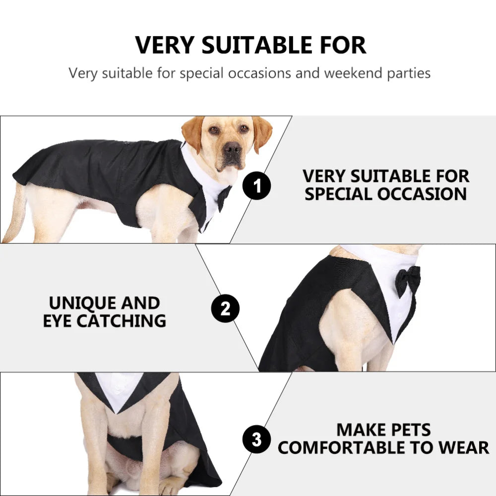 S7e193c9286a74579a3b7f595c3bb41a55 - bestdoggylife.shop