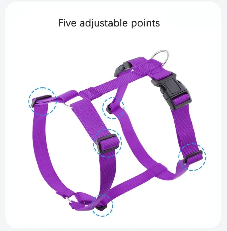 Adjustable dog harness with five adjustable points, purple nylon H-shaped design, buckle closure, lightweight and washable for dogs.