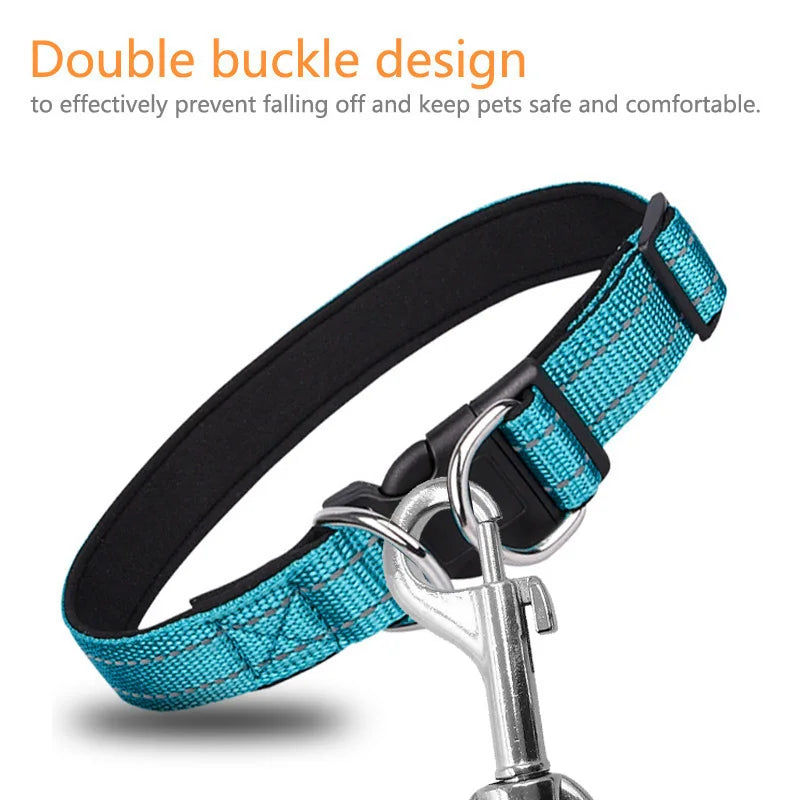Blue double buckle dog collar with padded lining and metal leash clip for pet safety