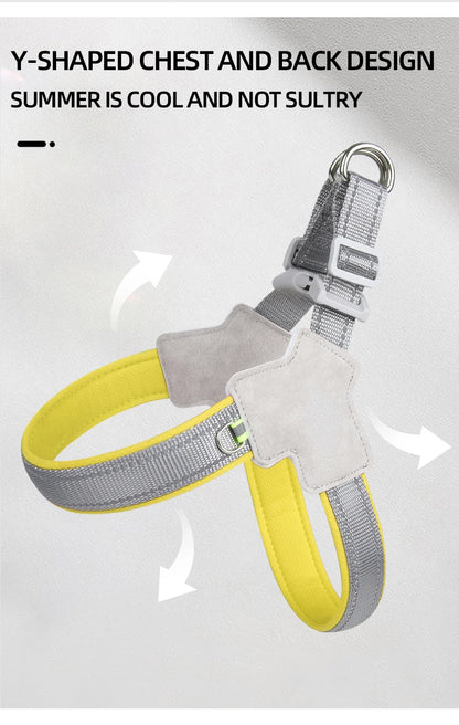 S7f631ec19c984b03af31c06e8a1aeb40P_afb02e9e-594b-4071-9dbf-6bdca274e663 - bestdoggylife.shop