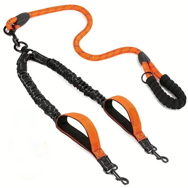 Dual orange and black bungee dog leash with padded handle and two clips for walking two dogs