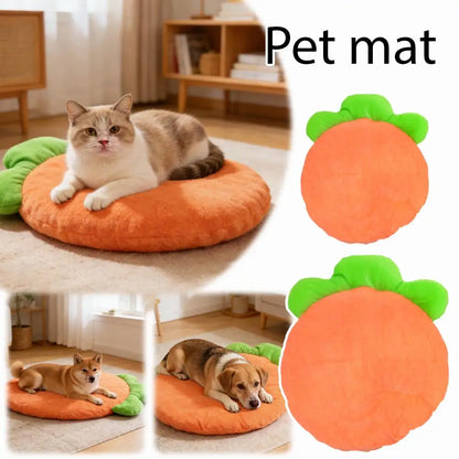 Washable cat bed mat carrot-shaped pet cushion with soft coral fleece and high elastic fill for small and medium pets