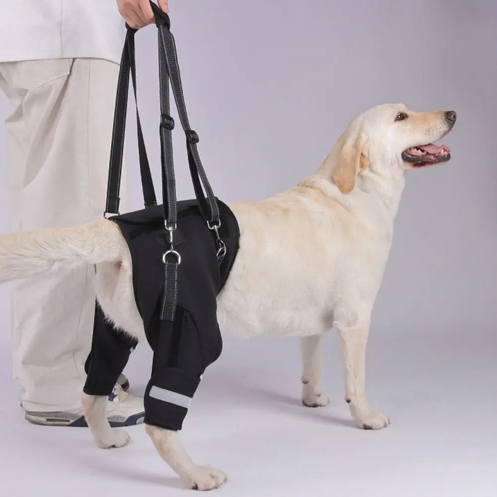 Legs Hip Support Dog Lift Harness Black Sturdy Handle Pet Aid Assist Tool Soft Padded Adjustable Dog Rear Leg Support