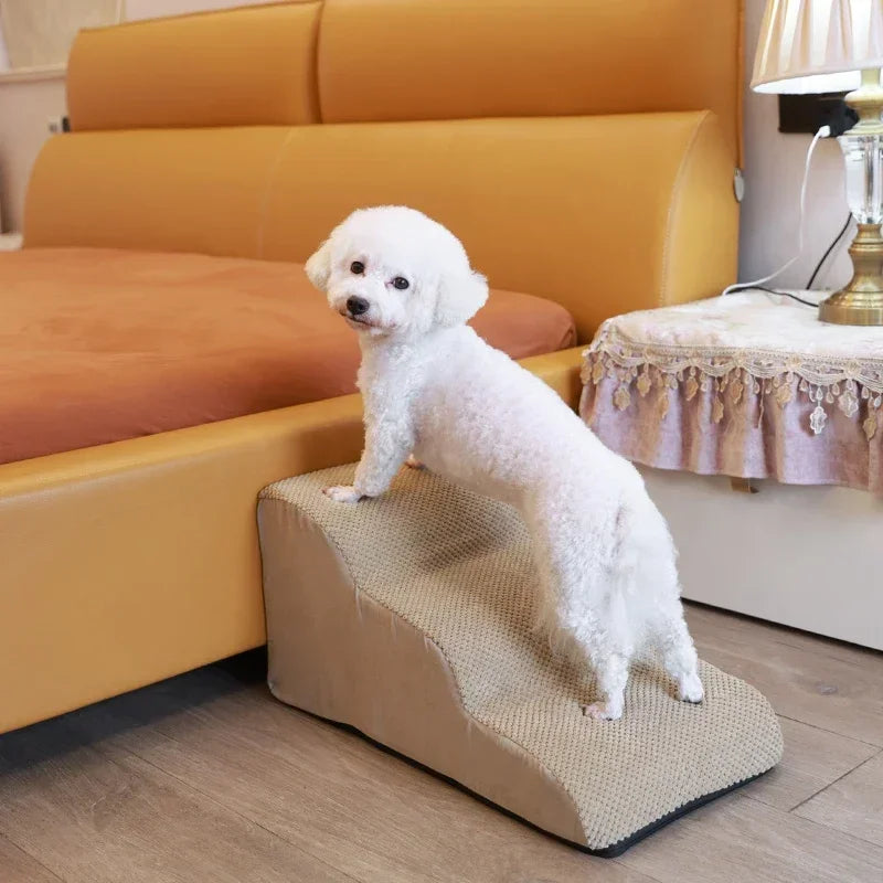S807640f62de143f687e3d6881b6100dff - bestdoggylife.shop