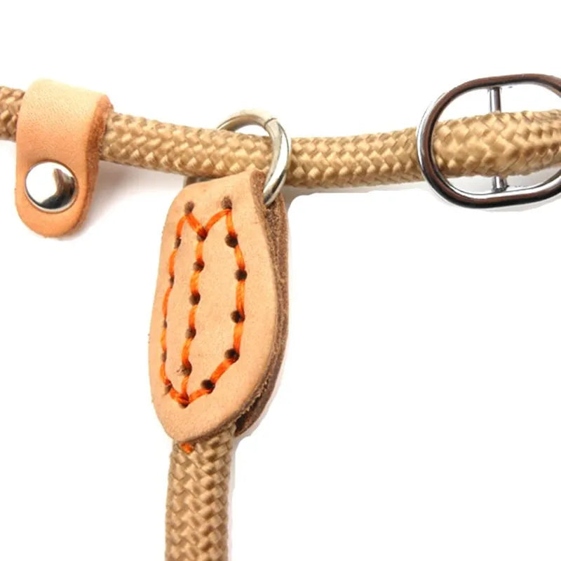 S810fe723fcfa4492a4317d7735fcb621o - bestdoggylife.shop