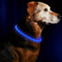 S81bae00318654ad8b14330447690b85cD_dcd807f3-b6e2-42cf-86e1-42beb505a3f3 - bestdoggylife.shop