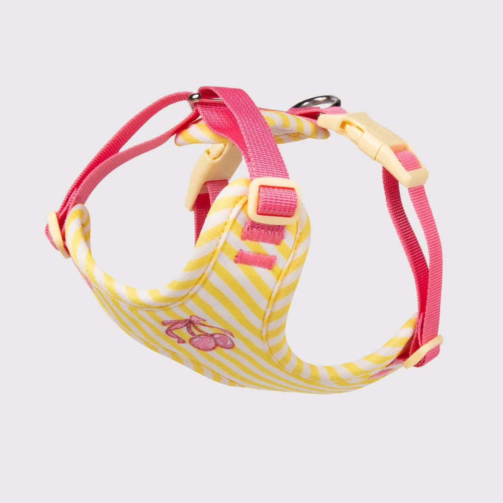 Elegant Puppy Harness Leash Set with Cute Plush Doll, Stylish Adjustable Vest Harness for Small Dogs, Fashion Walking Accessorie
