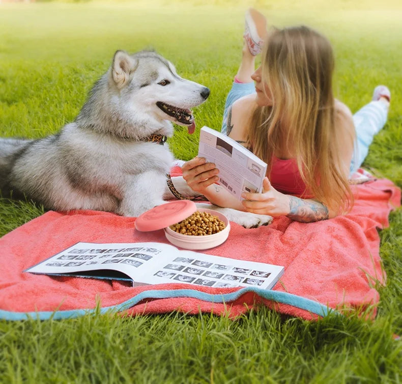 portable dog travel bowl on picnic blanket with dog food for outdoor feeding on hiking and camping trips