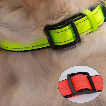 Reflective Padded Dog Collar Durable Strong Double D Ring Safety Nylon Pet Dog Collars Adjustable for Small Medium Large Dogs