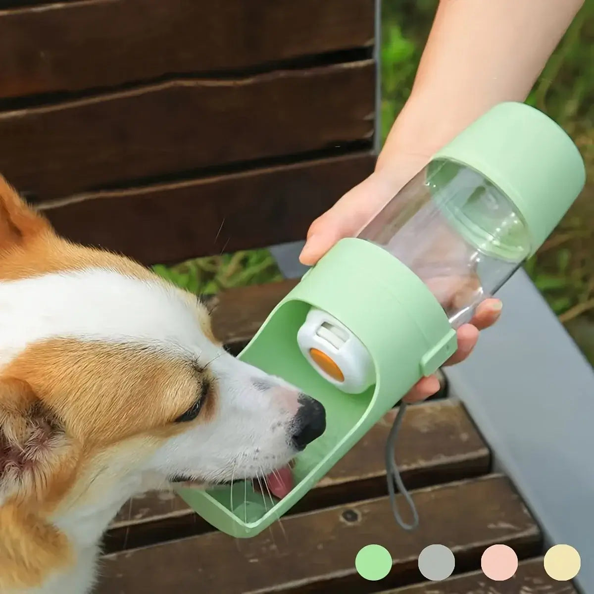 Portable dog water bottle for outdoor walks and hiking, durable pet hydration dispenser for dogs