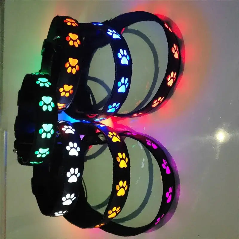 Luminous safety dog collar with colorful LED paw prints for night walking, anti-lost visibility, and pet safety