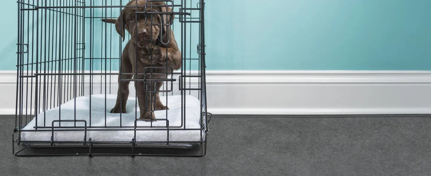 washable dog pee pad in a puppy crate, super absorbent waterproof floor mat for potty training and playpens