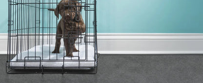 washable dog pee pad in a puppy crate, super absorbent waterproof floor mat for potty training and playpens