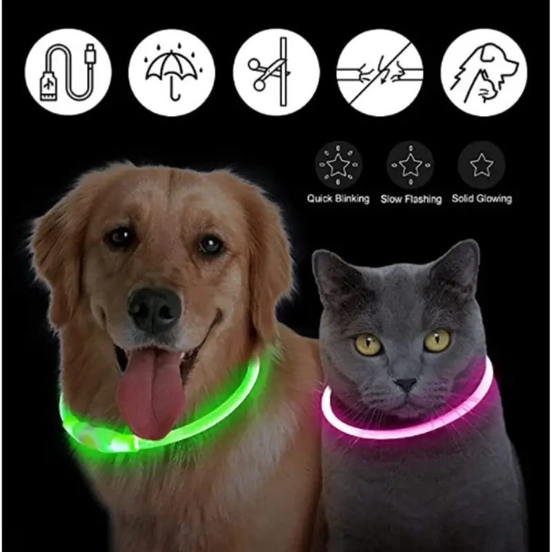 LED dog collar light for dogs and cats, glowing safety collar with quick release and flashing modes for nighttime visibility