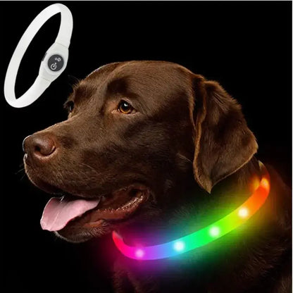 Colorful LED dog collar with USB interface, waterproof PVC glowing safety collar for large, medium, and small dogs