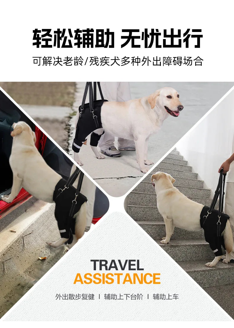 S84e9f827f7a34436b148cbe9059ae3deC - bestdoggylife.shop