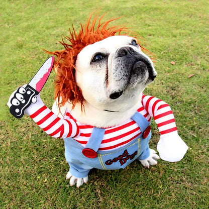 French bulldog in funny striped costume with fake knife and red wig on grass