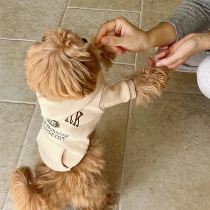 S853ac132096944cb8c9328b6c5db27afB - bestdoggylife.shop