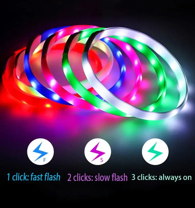 LED dog collar with colorful glow, USB rechargeable, waterproof PVC, 3 light modes for large, medium, and small dogs