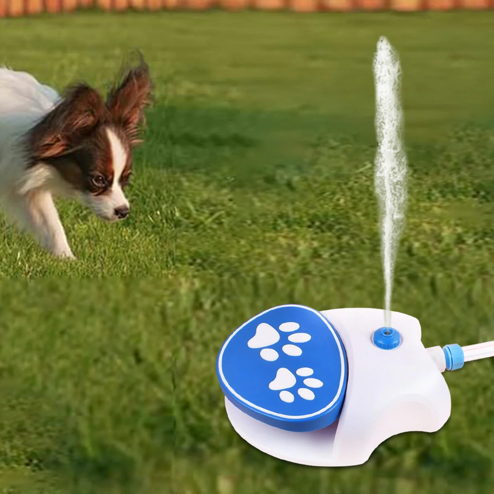 S856ad2ac39494fe48ab7699d1a8999faO - bestdoggylife.shop