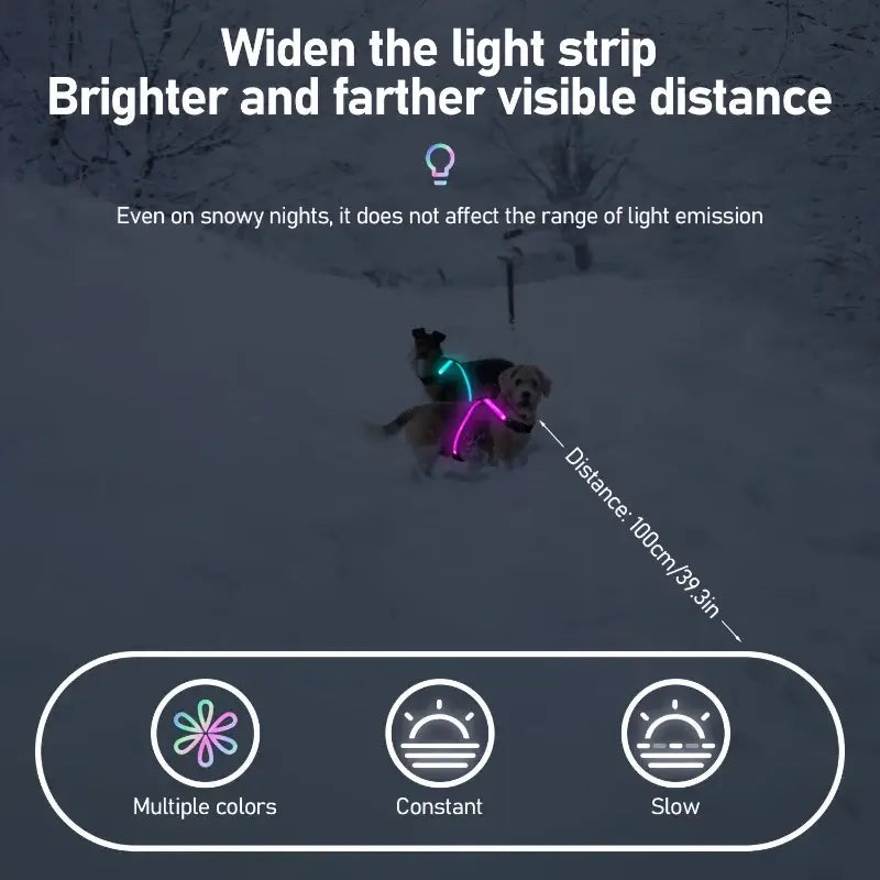 LED dog harness with bright multi-color lights for night safety, visible at long distances in snowy conditions