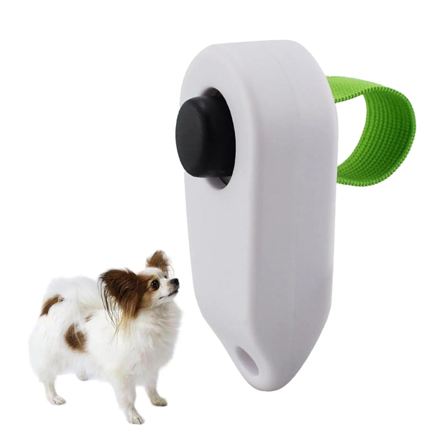 Dog training clicker with green wrist strap and small white dog on white background